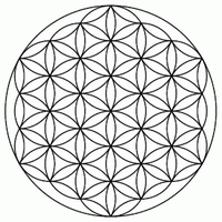 flower of life